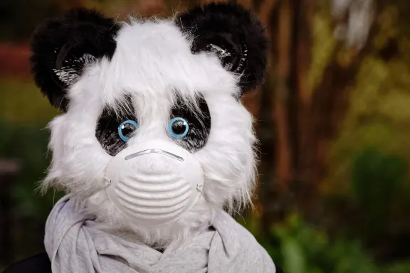 Cazino of Dreams Cazinou Suport